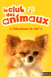 Chihuahuas de star