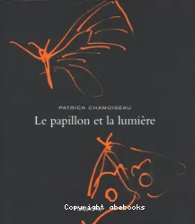 Le papillon et la lumière