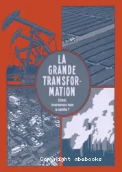 La grande transformation