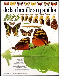 De la cheville au papillon