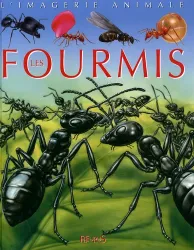 Les fourmis