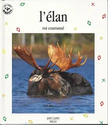 L' élan, roi couronné