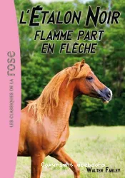 Flamme part en flèche