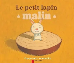 Le petit lapin malin