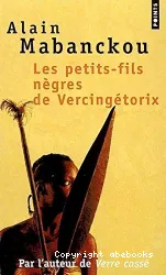 petits-fils nègres de vercingétorix (les)