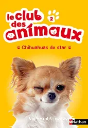 Chihuahuas de star