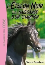 La naissance d'un champion