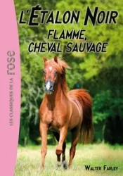 Flamme, cheval sauvage