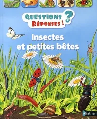 Insectes et petites bêtes