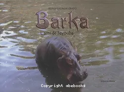 Barka l'ami de sayouba