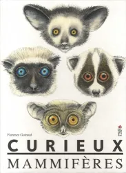 Curieux mammifères