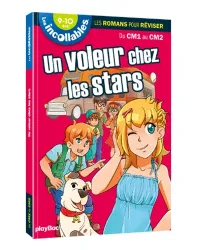 Un voleur chez les stars