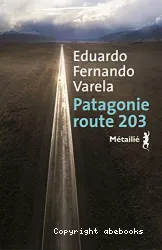 Patagonie route 203