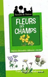 Fleurs des champs