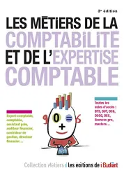 Les métiers de la comptabilité, de l'expertise comptable et l'audit