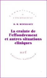 La crainte de l'effondrement et autres situations cliniques