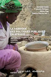 La fabrique des politiques publiques en Afrique