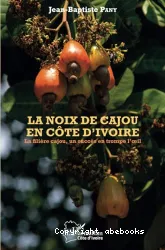 La noix de cajou en Côte d'Ivoire