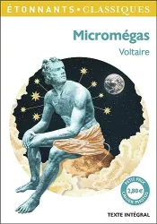 Micromégas