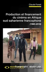 Production et financement du cinéma en Afrique sud saharienne francophone